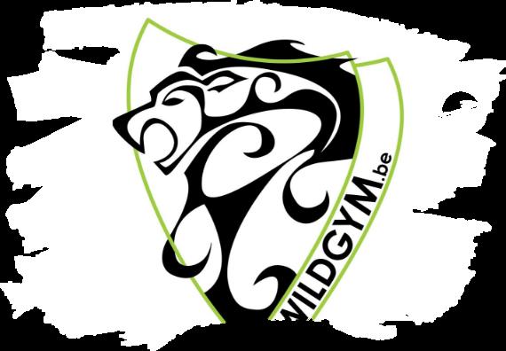 Voorwoord De VZW Wild Gym is een sportvereniging die meerdere sporten aanbiedt en dit voor verschillende leeftijdscategorieën.