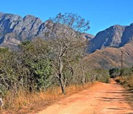 Gedetailleerd reisprogramma Dag 1: JOHANNESBURG, ZUID AFRIKA Bij uw aankomst in Johannesburg word u overgebracht naar de Safari Club, waar u kan bekomen van uw vlucht.