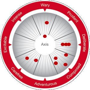 Introductie Risk Type &