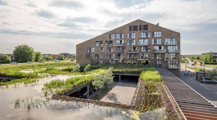 Op basis van het stedenbouwkundig plan van wurck worden in deze landschappelijke zone een vijftal woonhoeves gesitueerd op de rand van land en water, van stevig en expressief aan de rotonde met de