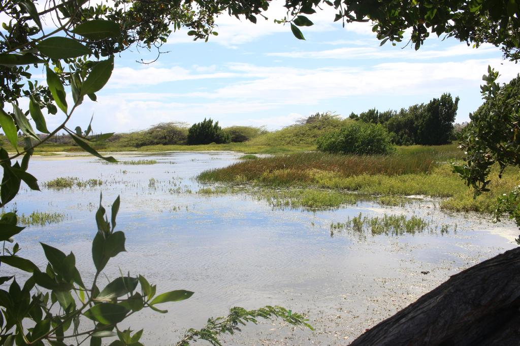 Ministerie van Ruimtelijke Ontwikkeling, Infrastructuur en Milieu REGERING VAN ARUBA 1 Onze Natuur & Ons