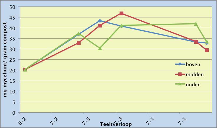 Figuur 22. Gehalte aan mycelium in de droge compost gebaseerd op een ergosterolmeting aan de compost. Als we deze onzekere 1-1.5 kg.