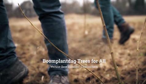 Communicatie Trees for All richt haar communicatie op de volgende doelgroepen: Donateurs Partners in ontwikkelingslanden die middelen ontvangen Partnerorganisaties die actief zijn in hetzelfde