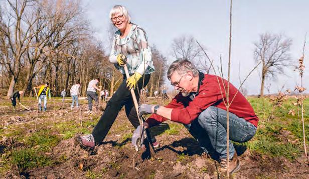 5.3 BEDRIJFSBOSPARTNER: ASN BANK Het ASN Bos groeit Het is geen toeval dat ASN Bank in 2018 voor een commercial heeft gekozen met dieren die in het bos leven.