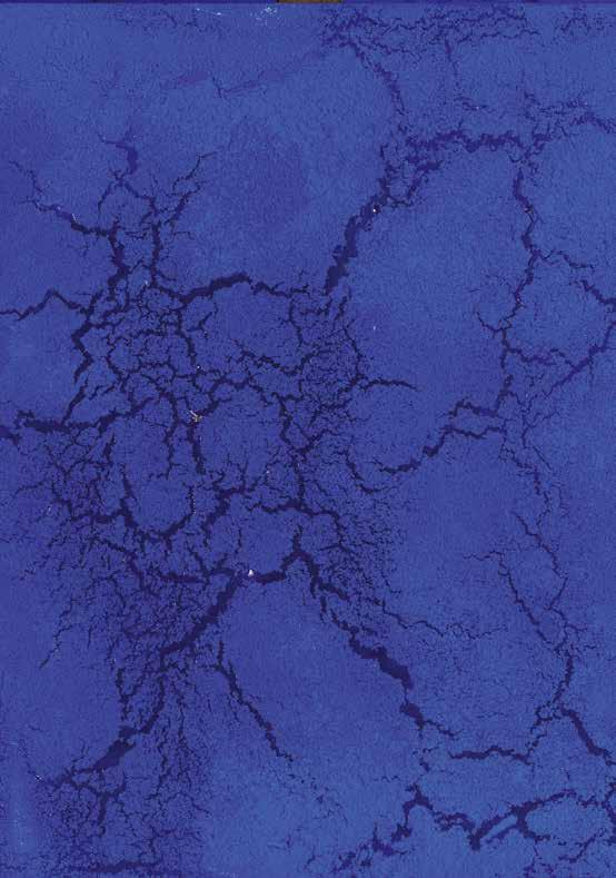 Blue Monochrome - Philippe Pastor ART NOCTURNE KNOCKE 44 e INTERNATIONALE