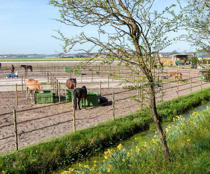 6 Waarmaken wat we hebben afgesproken ERVARING MET GOM De fase waarin we ons bevinden is cruciaal. Het begint erop aan te komen of we samen gaan waarmaken wat we met elkaar hebben afgesproken.