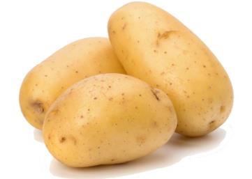 consumptie aardappel