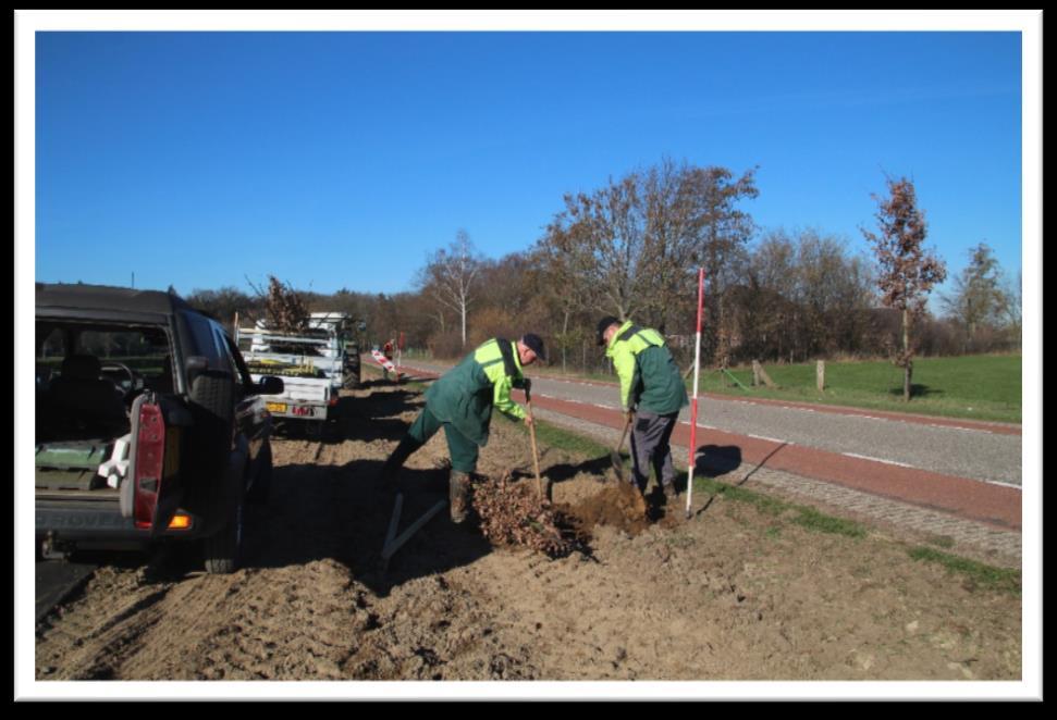 De gietrand laten we dan vollopen met water, zodat het water langzaam bij de wortels van de bomen terechtkomt. Op deze manier wordt voorkomen dat het meeste water wegstroomt.