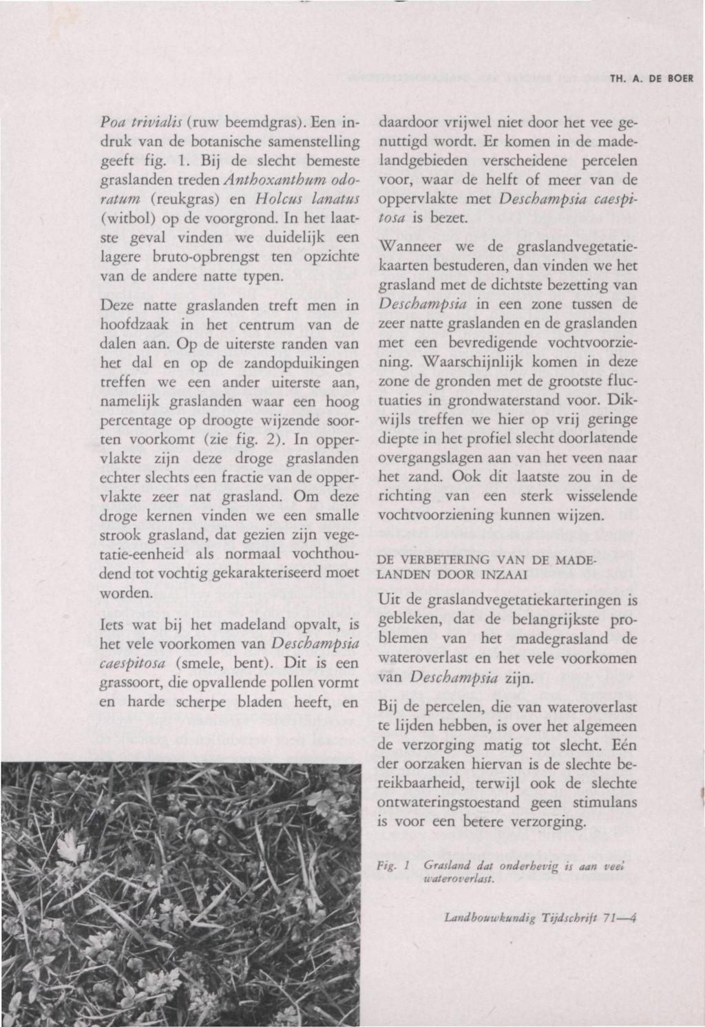 TH. A. DE BOER Poa trivialis (ruw beemdgras).een indruk van de botanische samenstelling geeft fig. 1.
