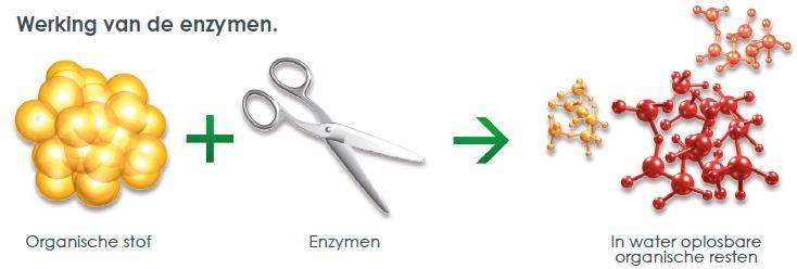 De werking van BIOnyx 1) duizenden soorten enzymen met even zoveel verschillende werkingen 2) breken moleculaire structuren af van