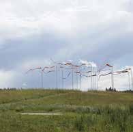 In het bermenlandschap wordt de eerste aanzet gegeven voor een groene