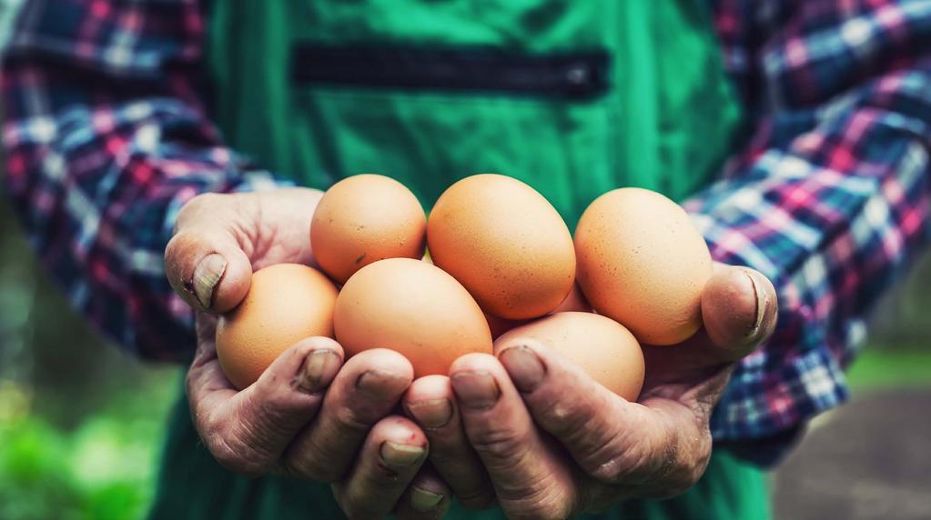 EEN LEVEN LANG LEREN Vanuit organisatieperspectief is het van belang dat de kennis en ervaring die met behulp van het Mentorprogramma is overgedragen ook behouden blijft voor de organisatie.