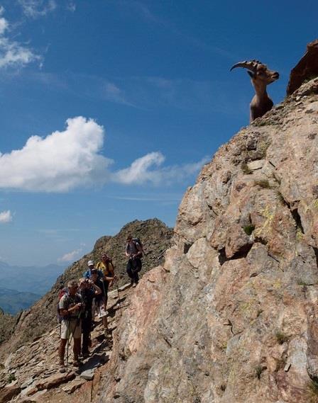 eu/mont-blanc-expeditie Chamonix, Frankrijk 9 dagen UIAGM berggidsen (7 dagen) zie dag tot dag programma hieronder Lift-, trein-, tunnelkosten; ontbijt en avondmaaltijden; 5 overnachtingen in chalet