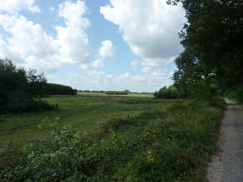 Figuur 6.4 Landschap langs de grensweg Zandwinplassen Het zandwinningsgebied vormt zoals gezegd een landschap op zich. Het wordt omgeven door bossages, laanbeplanting en hekken.