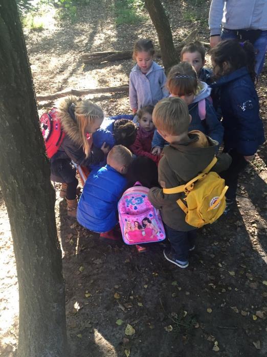 Groep 1-2