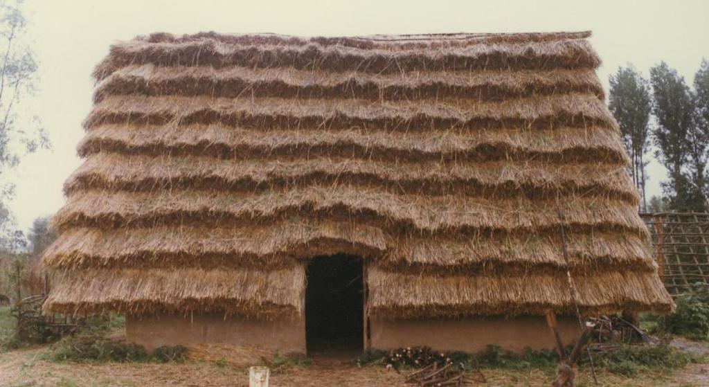 voorbeeld uit Aubechies, België. Keuze 2: Opgeklopt riet.