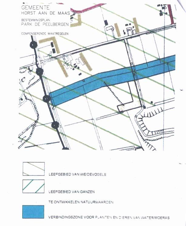 PLANOLOGISCH KADER verbindingszone In het bestemmingsplan van de gemeente Horst wordt de zone langs de ten zuiden van het plangebied gesitueerde sloot aangemerkt als verbindingszone voor planten en