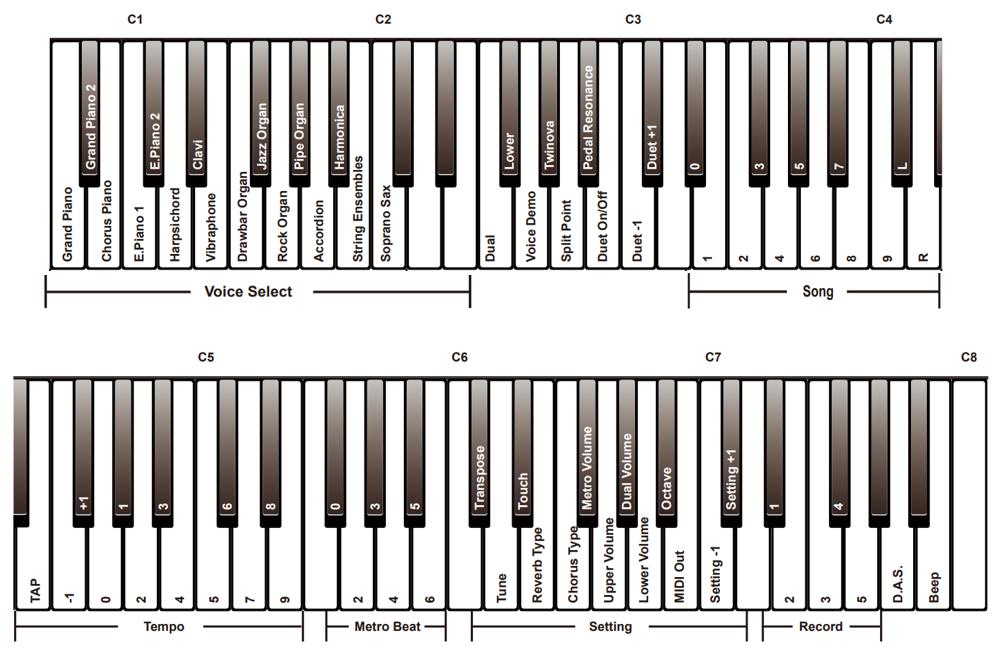 PANEEL EN KLAVIEROMSCHRIJVING Klavier Achterpaneel 12. USB-aansluiting Sluit een computer aan met een USB-kabel (A naar B). 13.