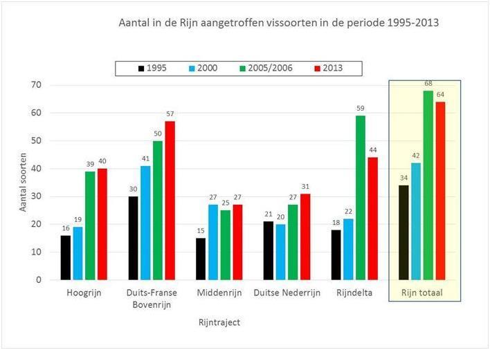 De Rijn heeft de afgelopen twintig jaar in visecologisch opzicht ingrijpende veranderingen ondergaan.