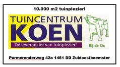 RUBRIEK 9 PREMIEKEURING VAN ZEVEN JAAR EN OUDERE STERMERRIES Aanvang: 12.15-12.20 uur / Baan 3 Jury: P. Bergsma, Zandhuizen Mevr. A. Elsinga, Noordwolde Mevr. C. Terpstra-v.d. Meer, Ee 085 Oukje van Zorg en Genot 201200180 Stb Ster Geb.