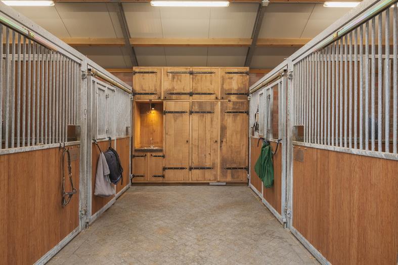 Paardenstal I: De eerste stal bestaat uit een werkplaats en 2 gelijke units, welke o.a. zijn ingericht met 4 paardenboxen.