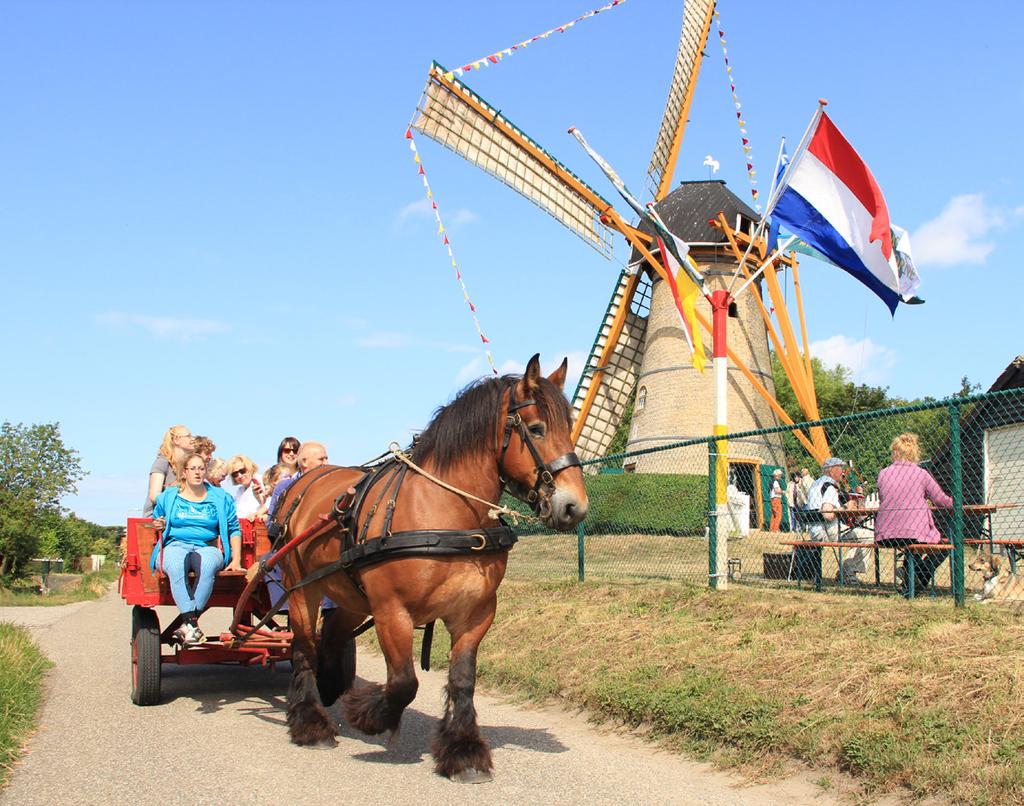 PROMOTIE & ACTIVITEITEN Het besef dient breed gedragen te worden door de inwoners van Oostvoorne, regionale bedrijven en gemeente Westvoorne, dat de korenkolen van Oostvoorne als rijksmonument een