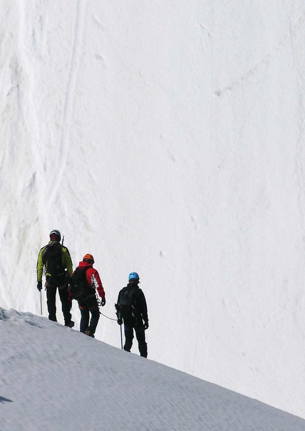 De beveiliging In Zwitserland kwamen in de laatste twintig jaar bij alpiene beklimmingen meer dan eenentwintig personen per jaar om het leven waarbij de grote valhoogte typerend was.