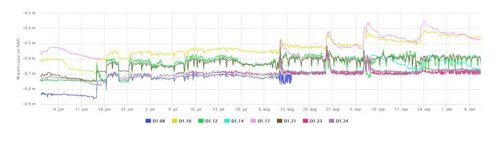 Grondwateronderzoek Kleverparkbuurt, Haarlem Bij de Jelgersmastraat (D1.10) is tevens een onnatuurlijk patroon zichtbaar in de gemeten waterstanden.