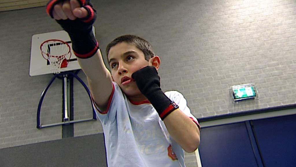 Vechtsport in de jeugdzorg Ontwikkeling van 2 kansrijke vechtsportaanpakken