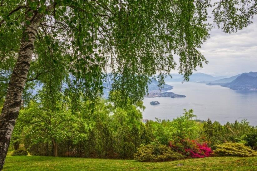 In de botanische tuin groeien meer dan 150 verschillende azalea s, rododendrons, ceders en redwood bomen. Vanaf de tuinen van de villa heb je een schitterend uitzicht op het Comomeer.