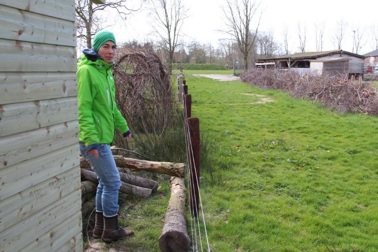 Figuur 7. De bovenstaande foto s laten zien dat op het terrein van de natuurspeeltuin, maar ook direct aangrenzend er relatief grote delen aanwezig zijn die nu als intensief grasland worden beheerd.