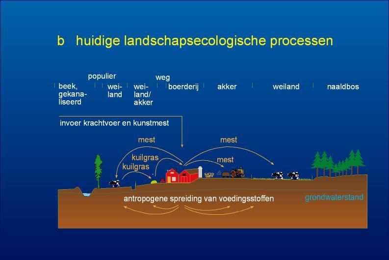 Verspreiding van