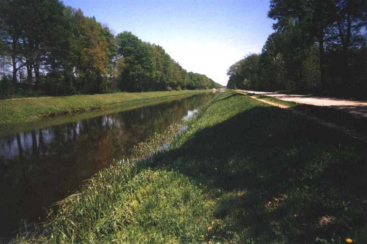 10 Reemer & van der Meer 2001 DISCUSSIE De bijen- en graafwespenfauna van Kanaal Almelo-Nordhorn is vrij soortenrijk.