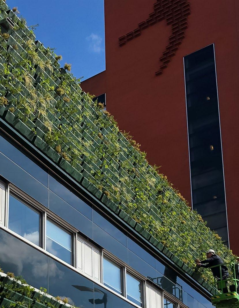 Spoorzone vergroent: Hangende tuin van 150 m 2 bevestigd aan Stadskantoor De gevel van het Stadskantoor aan het Lübeckplein heeft een transformatie ondergaan.