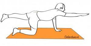 COORDINATIEOEFENINGEN: 1. Kruipstand Doel: de stabiliteit van de lage rug vergroten door de beginpositie te handhaven terwijl de armen en benen afwisselend uitgestrekt worden.
