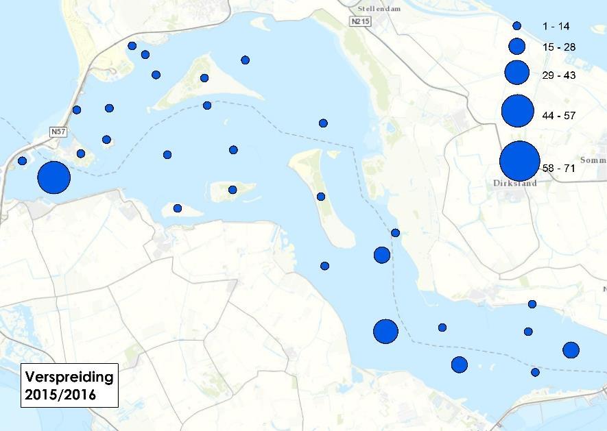 Fuut, 1%-norm=3600 De hoogste aantallen Futen worden doorgaans in de periode december-februari geteld, ook dit jaar viel de piek in februari: 810 exemplaren, bijna twee maal zoveel als in de