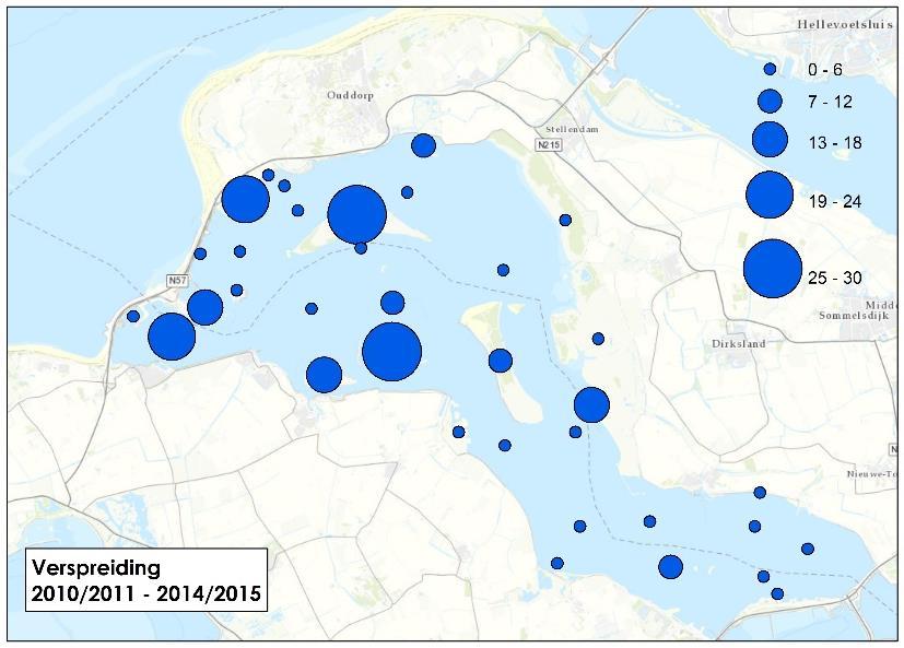 Aalscholver, 1%-norm=3900 De Nederlandse broedpopulatie van de Aalscholver schommelt al jaren rond de 20.000 paar.