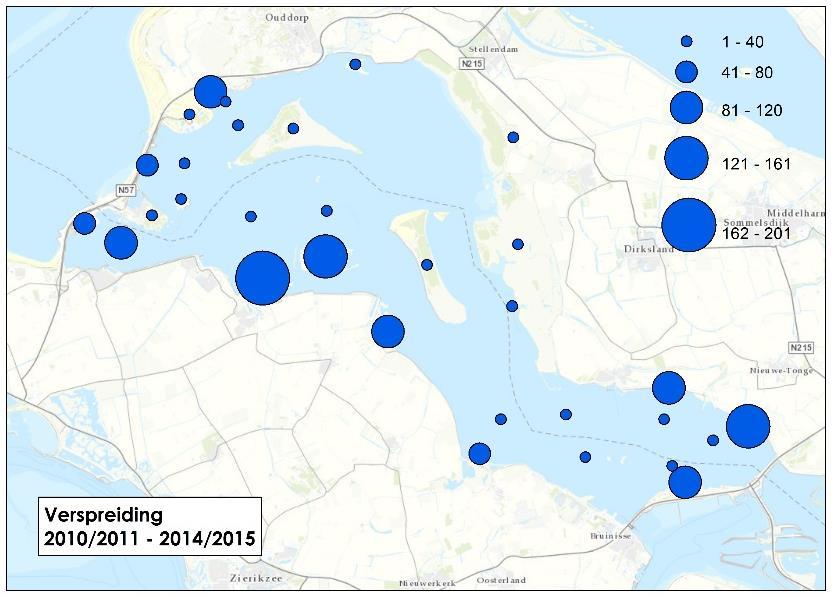 Meerkoet, 1%-norm=17.500 De trend van de Meerkoet is in het overige Deltagebied vanaf 1986-1987 negatief, na 2002 lijkt de trend zich er te stabiliseren.