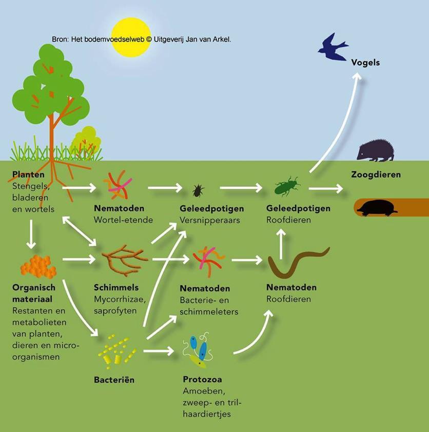 Bodembiologie!