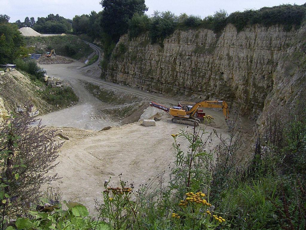 Foto 8. Steengroeves zoals deze zijn bijna allemaal bezet door Oehoes. Hier werd gebroed in de door de zon beschenen wand links buiten beeld (zie foto 4). Euregio 2009, Gejo Wassink.