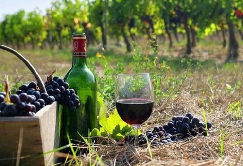6 daagse wijn- en cultuur rondreis Peloponnesos en Athene De PV Aegon Den Haag organiseert van maandag 16 september 2019 tot zaterdag 21 september 2019 een 6 daagse wijn- en cultuur rondreis naar
