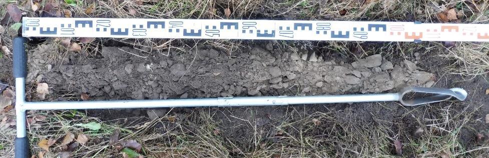 Bodemprofiel In de doorwortelbare bodem tussen de bomen 6 t/m 9 heeft een grondboring plaatsgevonden.