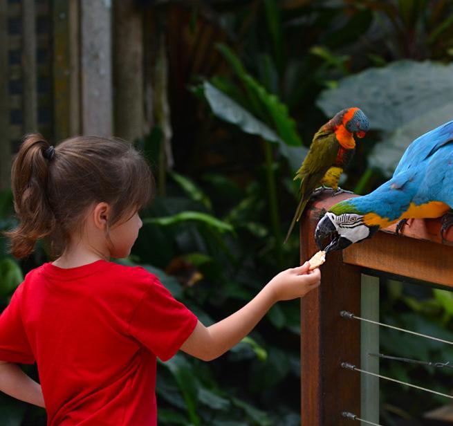 Dierenpark Deze week speel je erop los tussen gekke aapjes en snelle stokstaartjes. Je ontmoet honderd verschillende diersoorten uit alle hoeken van de wereld en maakt een rit op de tractor.