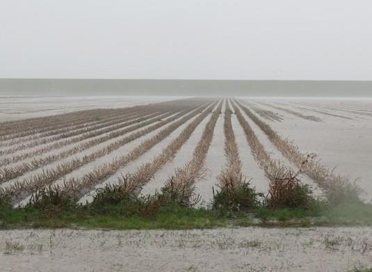 jaarlijkse neerslag neemt toe