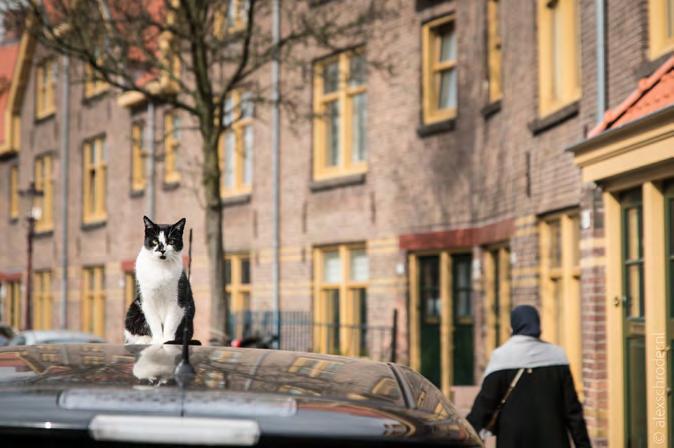 6 Handvatten voor corporaties Deze handreiking biedt handvatten voor corporaties als een initiatief bij hen aanklopt. Welke stappen moeten ze zetten en welke aspecten moeten ze juridisch vastleggen?