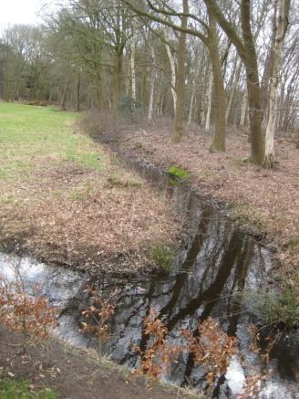 Beelden van het terrein Hoogte