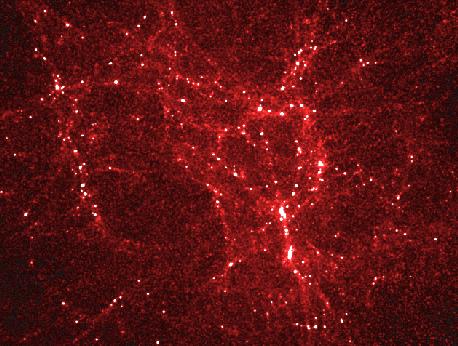 Melkwegstelsels hopen zich op in clusters langs filamenten; daartussen