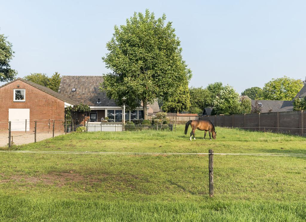 Tuin/ weiland Hier vergeet je even dat je midden in het dorp woont.