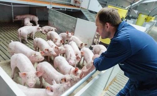 Maatschap Workel-Doeschot: Voor de overdracht van de wisselbokaal zijn we te gast bij één van de varkenshouders die betrokken is geweest bij de start van de proeftuin Dunne fractie varkensmest.