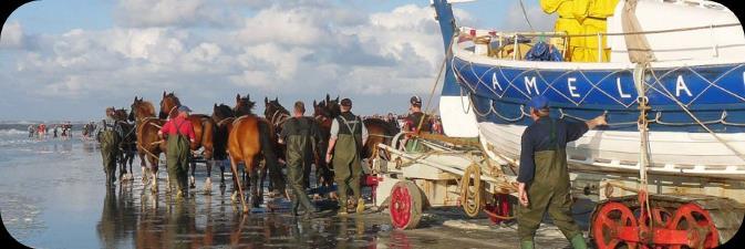 Demonstratie paardenreddingboot / Vorführung Pferderettungsboot Op maandag 29 juli om 20.00 uur is de lancering van de Amelander paardenreddingboot.